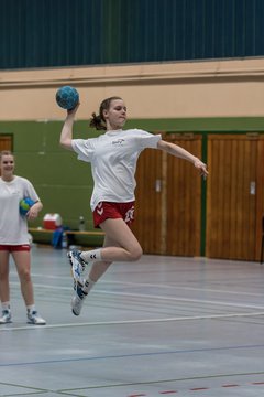 Bild 153 - Damen HSG Kremperheide/M�nsterdorf - Suchsdorfer SV : Ergebnis: 39:22